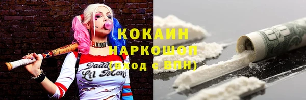 прущие грибы Алзамай