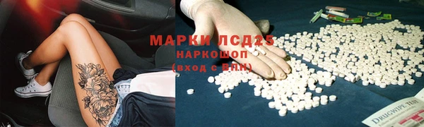 прущие грибы Алзамай