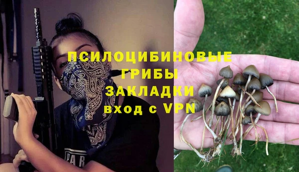 твердый Абаза