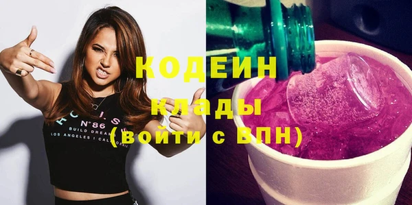 прущие грибы Алзамай